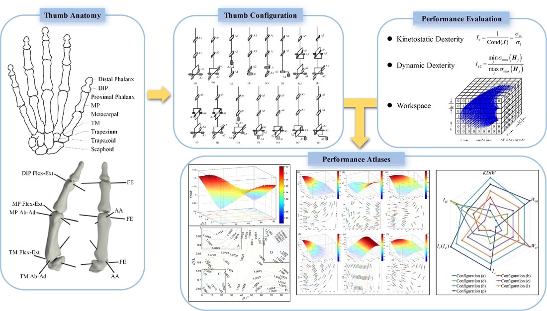 Thumb Configuration And Performance Evaluation For Dexterous Robotic