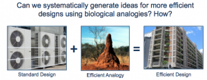 TOWARD A METHODOLOGY FOR SYSTEMATICALLY GENERATING ENERGY- AND MATERIALS-EFFICIENT CONCEPTS USING BIOLOGICAL ANALOGIES